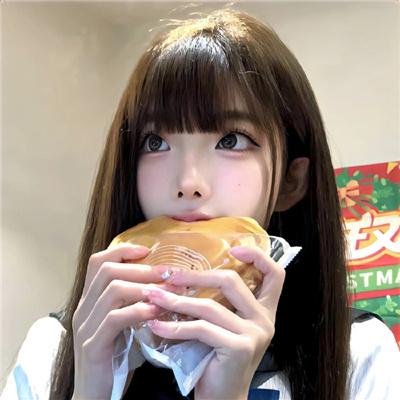 老处女日记
